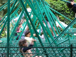 p1000243