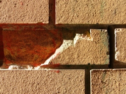 p1240139