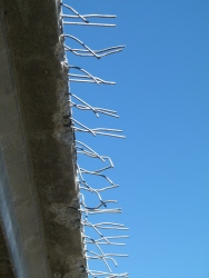 p2340923r