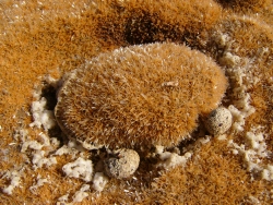 p1230881