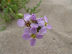 p1070140