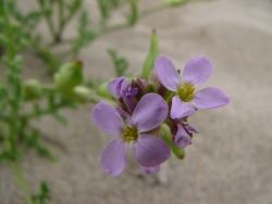 p1070141