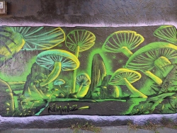 pxl20201214220944482