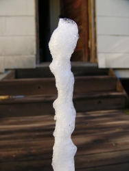 p1160215r