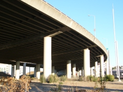 p1010353