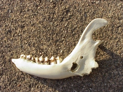 mvc-5257