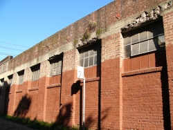p1150229