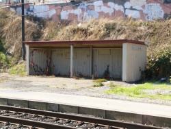 p1150264