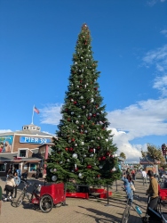 pxl20251114223400901