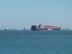 p2310562r