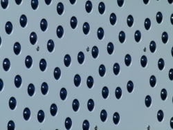 p2240226