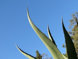 p1090176