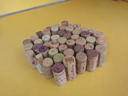 pxl20260115220117753