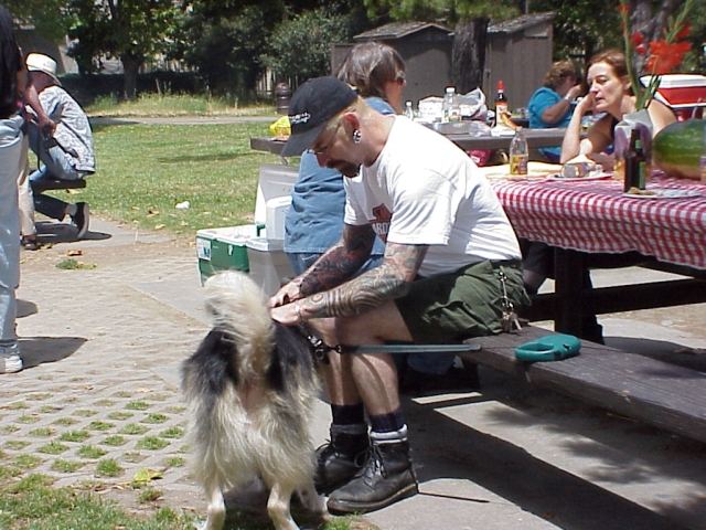 photo
