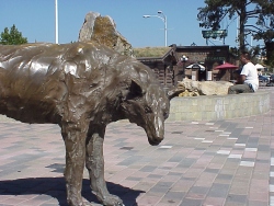 mvc-5541