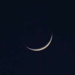 p2320611c