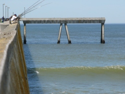 p1220028