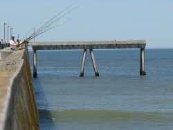 p1220029