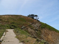 p1220041