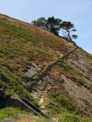 p1220042r