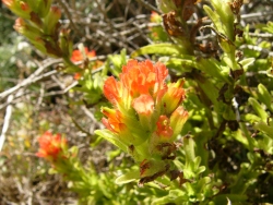 p1220043