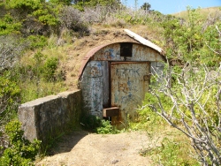 p1220045