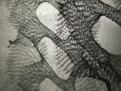 p1080418