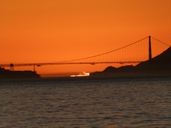 p2330591