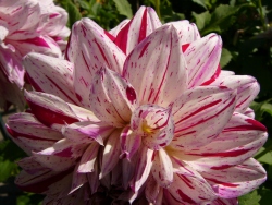 p1140008