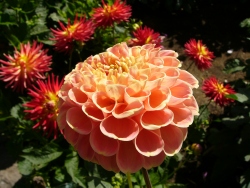 p1140012