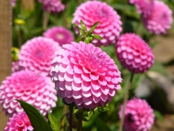 p1140020