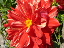 p1140021
