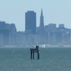 p2170194c