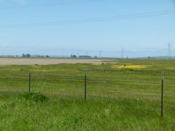 p2350324