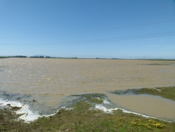 p2350331