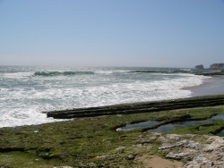 p1180888