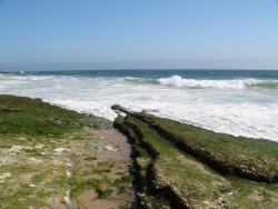 p1180890