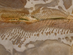 p1180891