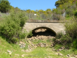 previous