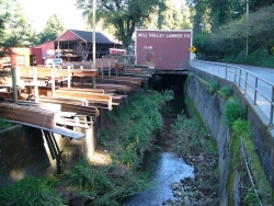 p1170253