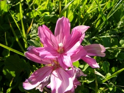 p1170275