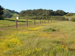p1170276