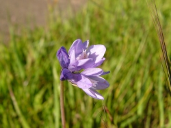 p1170277