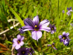 p1170282