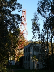 p1170289r