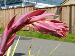 p2320618