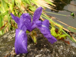 p1200126