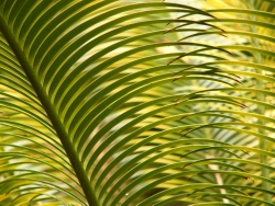p1200133