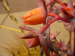 p1200185