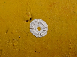 p1070417